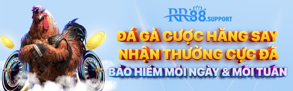 Banner Đá Gà RR88