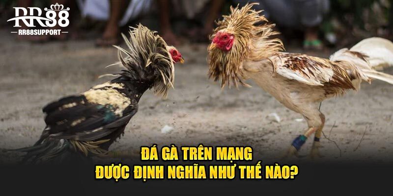 Đá gà trên mạng được định nghĩa như thế nào?