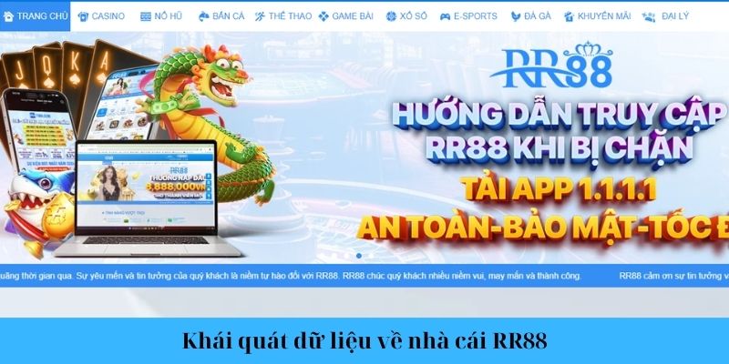 Khái quát dữ liệu về nhà cái RR88