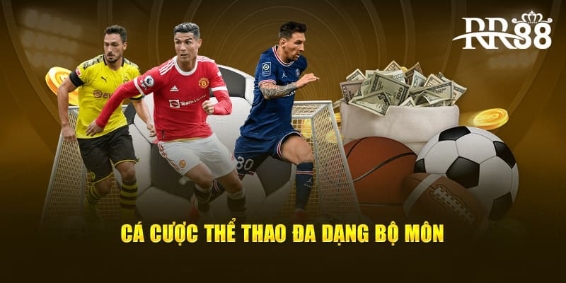 Cá cược thể thao cùng đa dạng bộ môn hấp dẫn