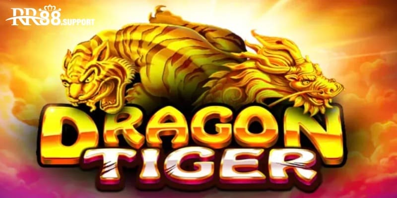 Phương pháp soi cầu đỉnh cao trong cách đánh Dragon Tiger