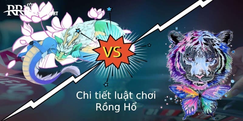 Luật Rồng Hổ hấp dẫn, nhanh gọn 