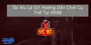 Tài Xỉu Là Gì? Hướng Dẫn Cách Thức Chơi Đơn Giản Tại RR88